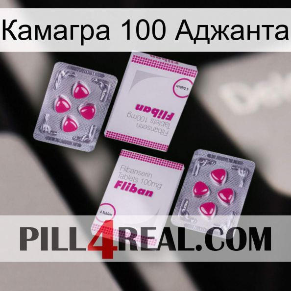 Камагра 100 Аджанта 33.jpg